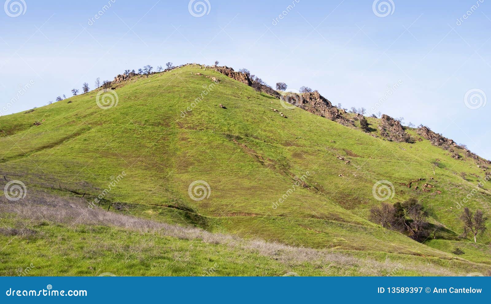 open hill top with new spring grasses