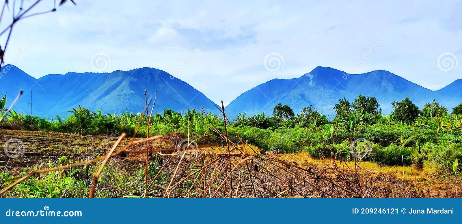 open land around the ruteng mountains