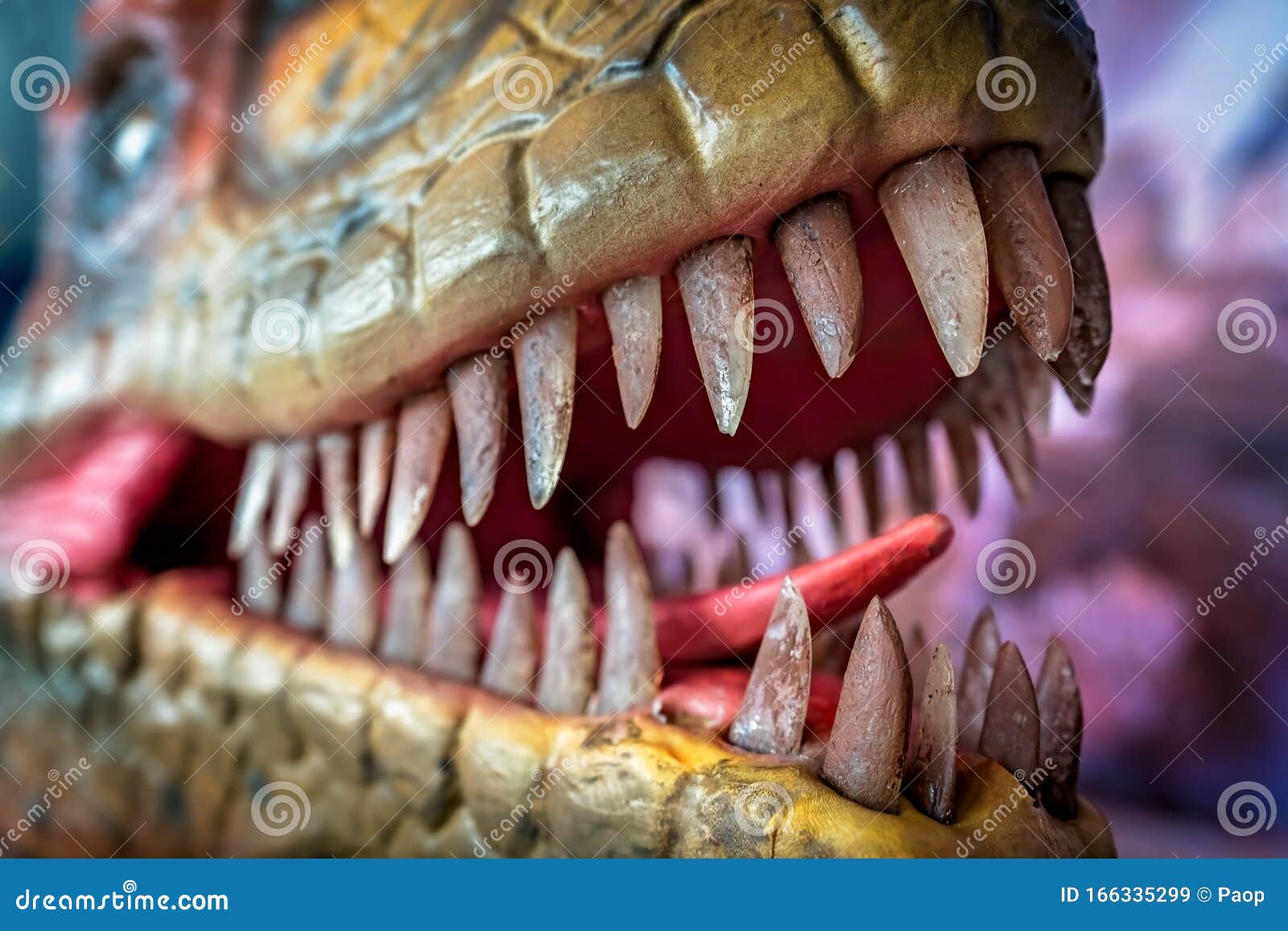Sharp Teeth of a Velociraptor Dinosaur Editorial Stock Image Image of