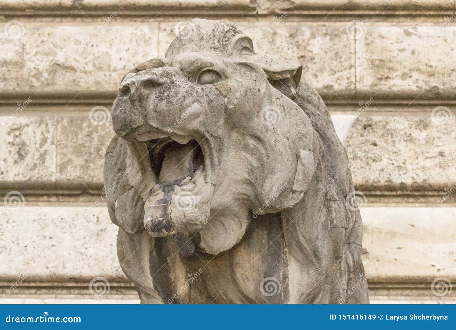 roses in the mouth of a lion by bushra rehman roses in the mouth of a lion by bushra rehman