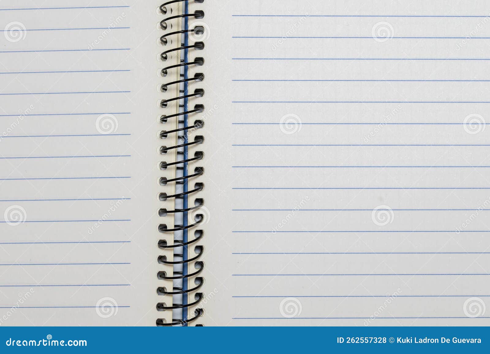 open notebook of sheets of squared paper