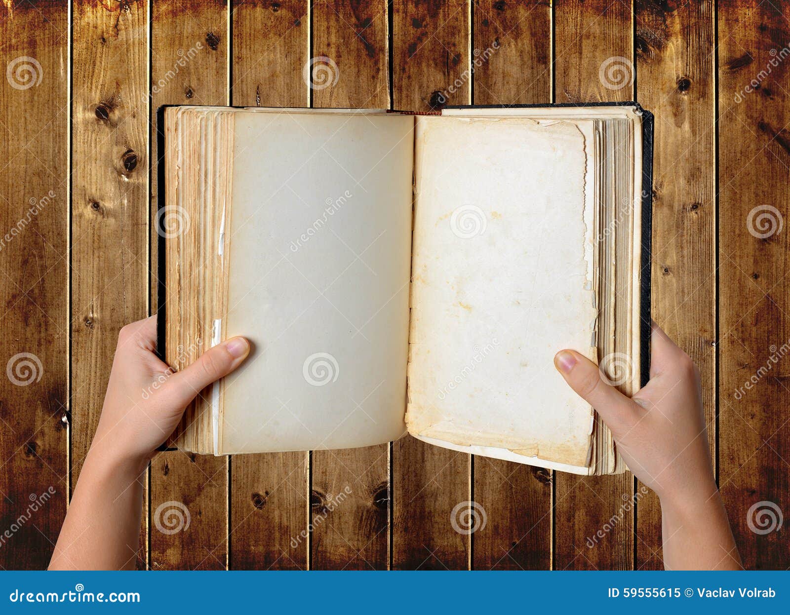 Раскрытая книга в руках. Книжка открытая в руках. Пустая книга. Рисунок открытой книги в руках.