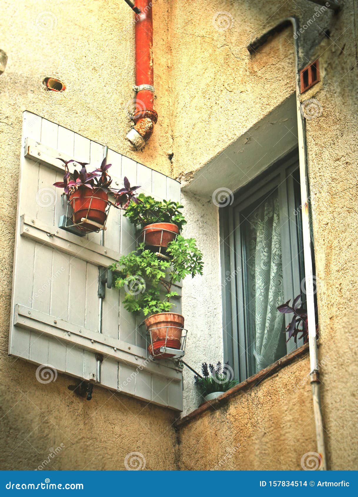 Open Old Town House Window With White Curtains And Potted Flowers In ... Open Window At Morning