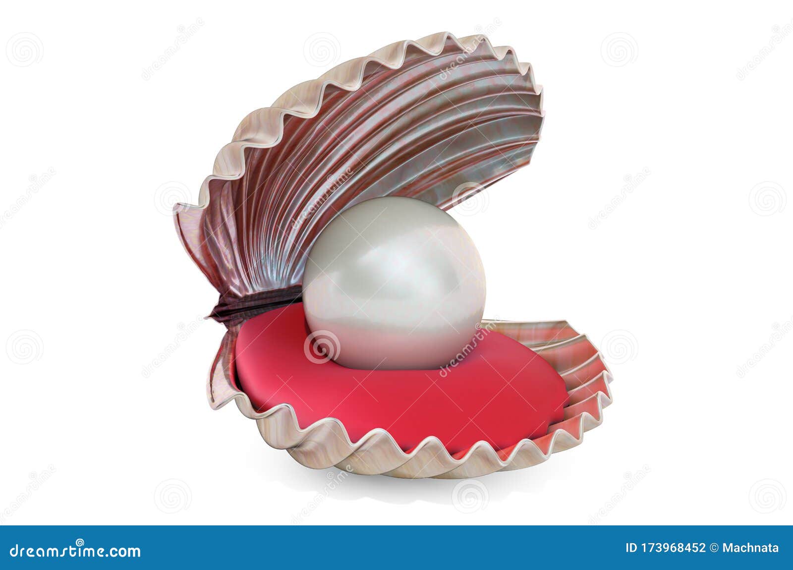Open Oyster Sea Shell With Valuable Pearl Isolated. Realistic 3d Vector