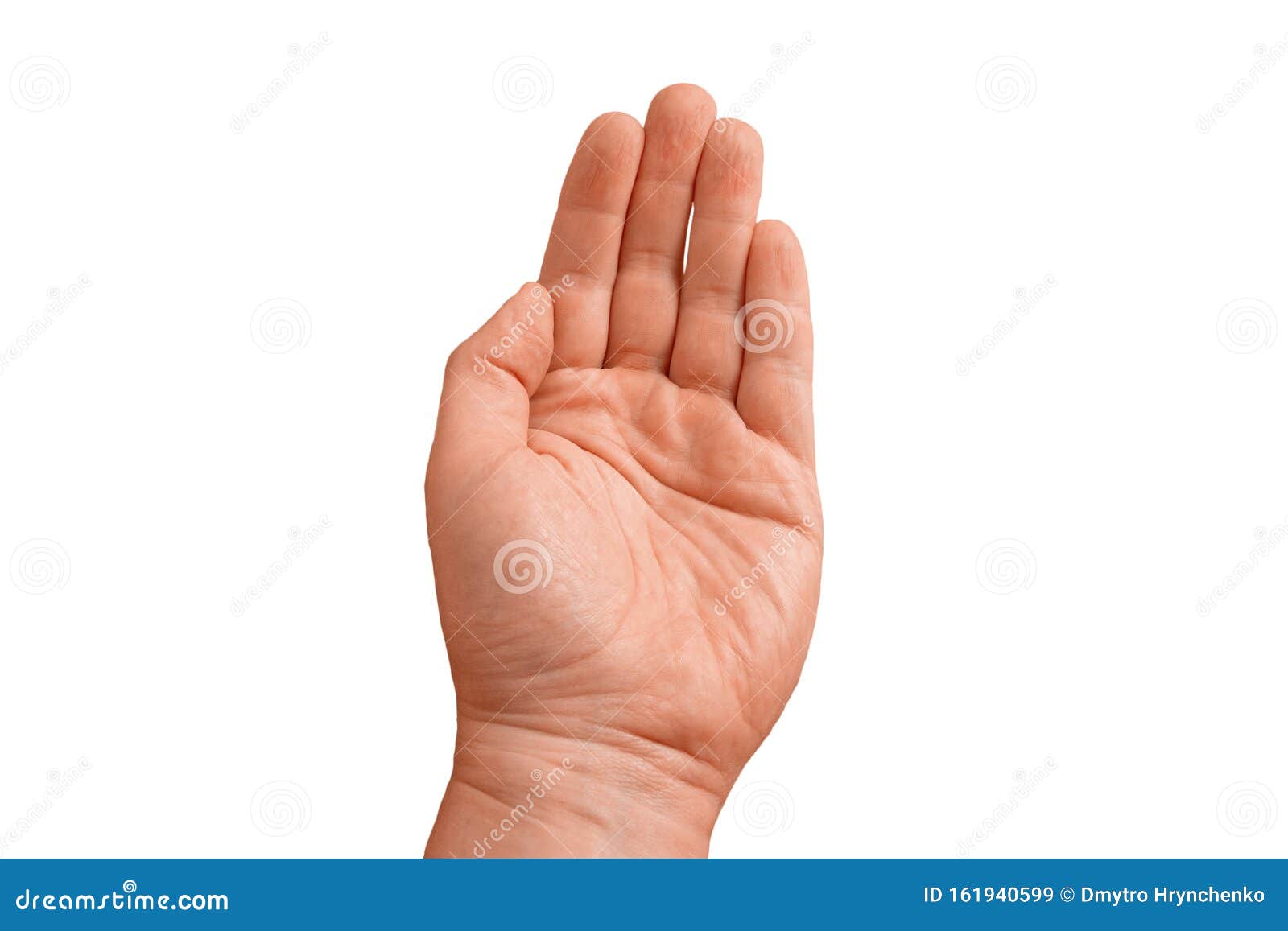 Open Palm Up With Straight Closed Finger Of Adult Guy Gesture Of Man Hand On Transparent Isolated Background Closeup Mockup Stock Image Image Of Blank Communication Open Palm Up With Straight Closed Finger Of Adult Guy Gesture Of Man Hand On Transparent Isolated Background Closeup Mockup Stock Image Image Of Blank Communication