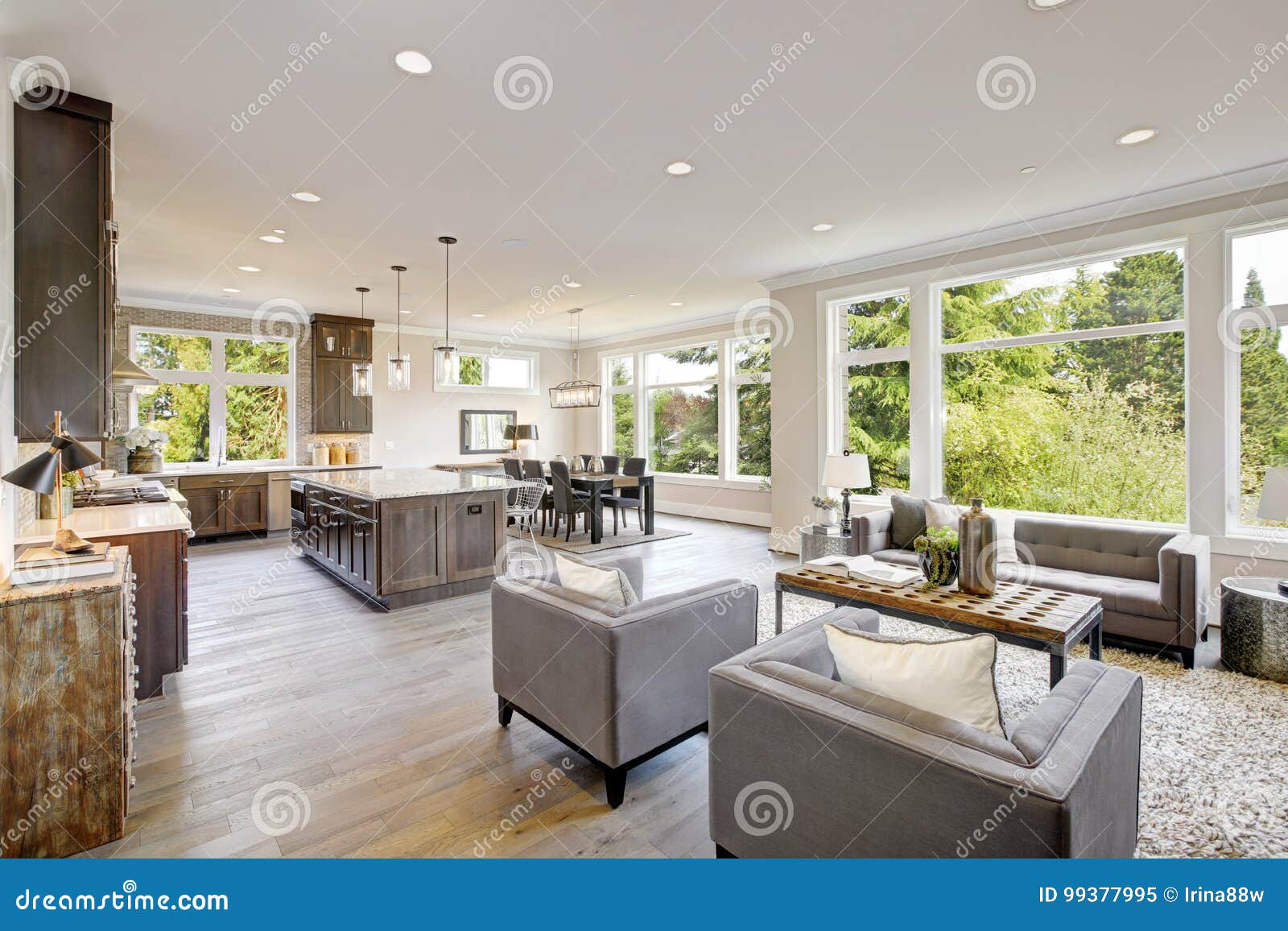 Luxurious New Construction With Open Plan Interior Stock Image