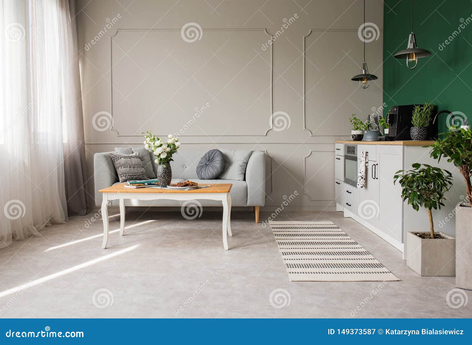 Open Plan Kitchen and Living Room Interior with Grey and