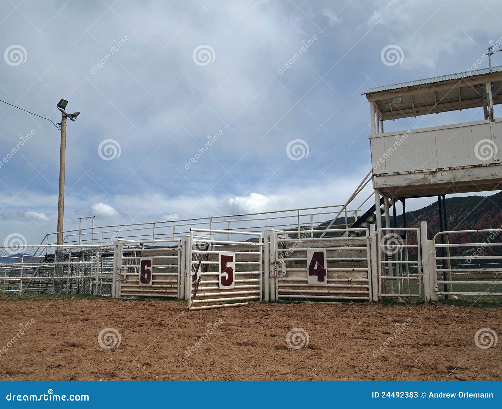 Open Rodeo Gate stock image. Image of animals, rodeo 24492383