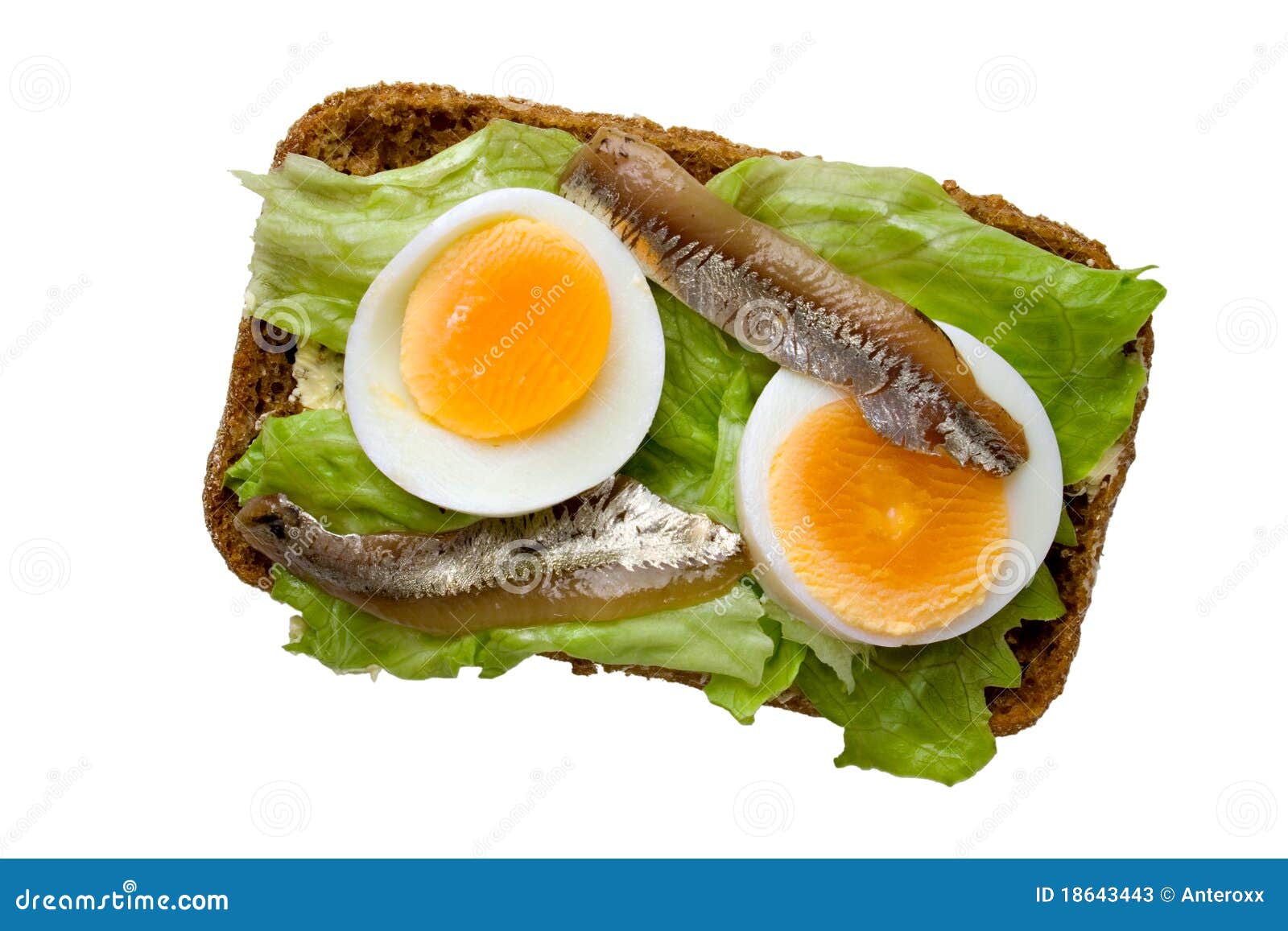 Open Sandwich with Egg and Anchovy, Upper View Stock Image Image of