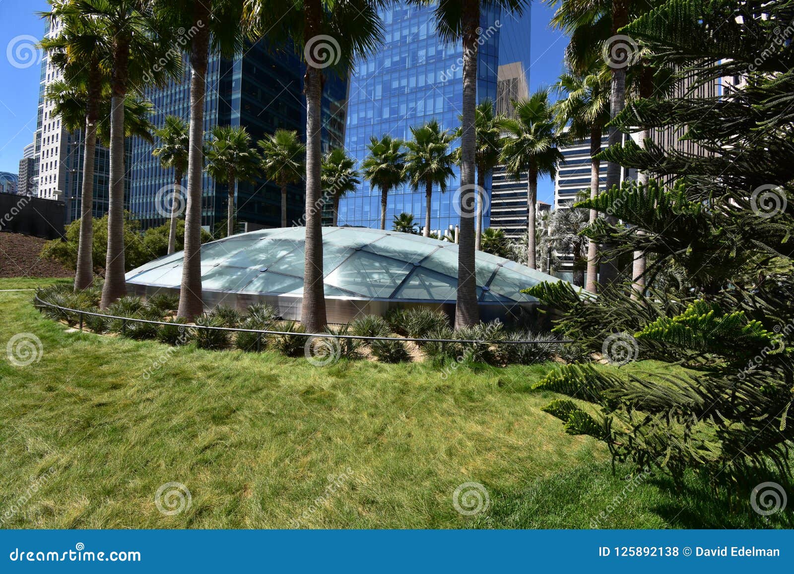 salesforce roof garden salesforce roof garden