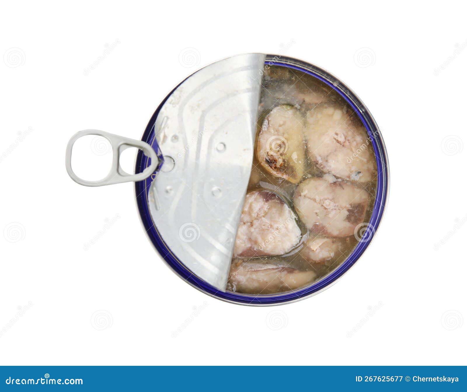 Open Tin Can with Mackerel Chunks Isolated on White, Top View Stock Image Image of canned