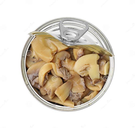 Open Tin Can of Mushrooms Isolated on White Stock Photo - Image of ...