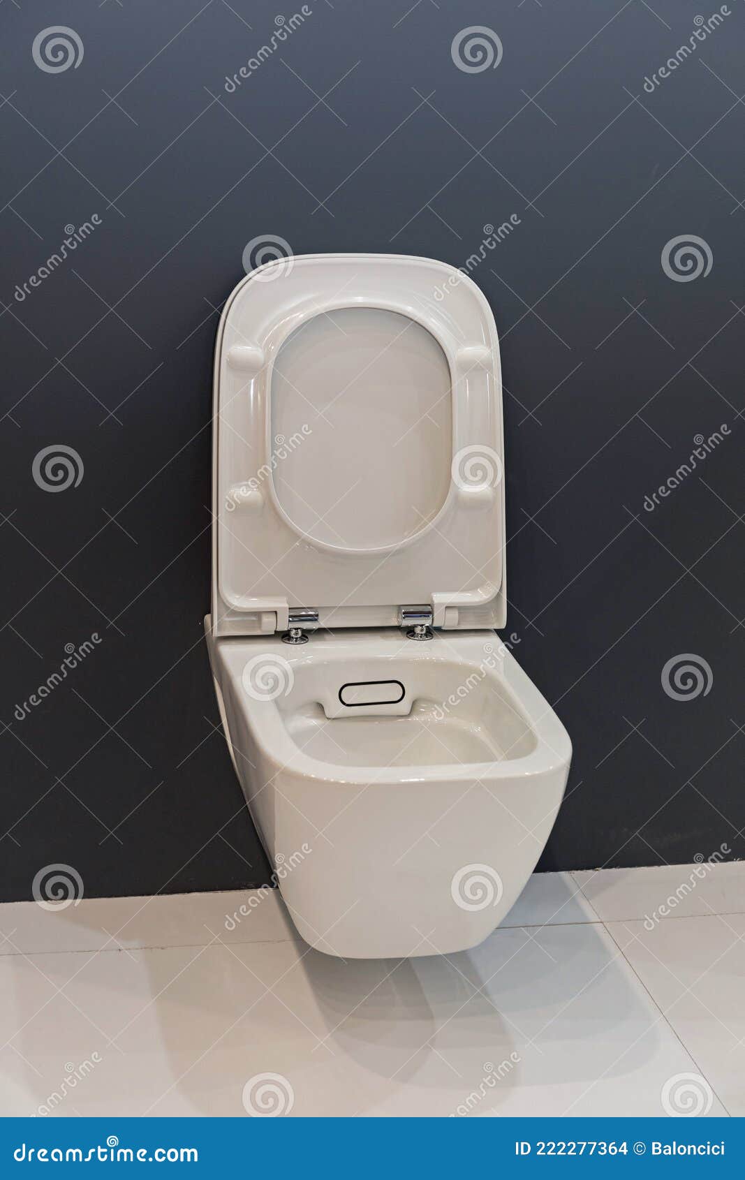 Open Toilet Seat stock photo. Image of ceramic, black 222277364