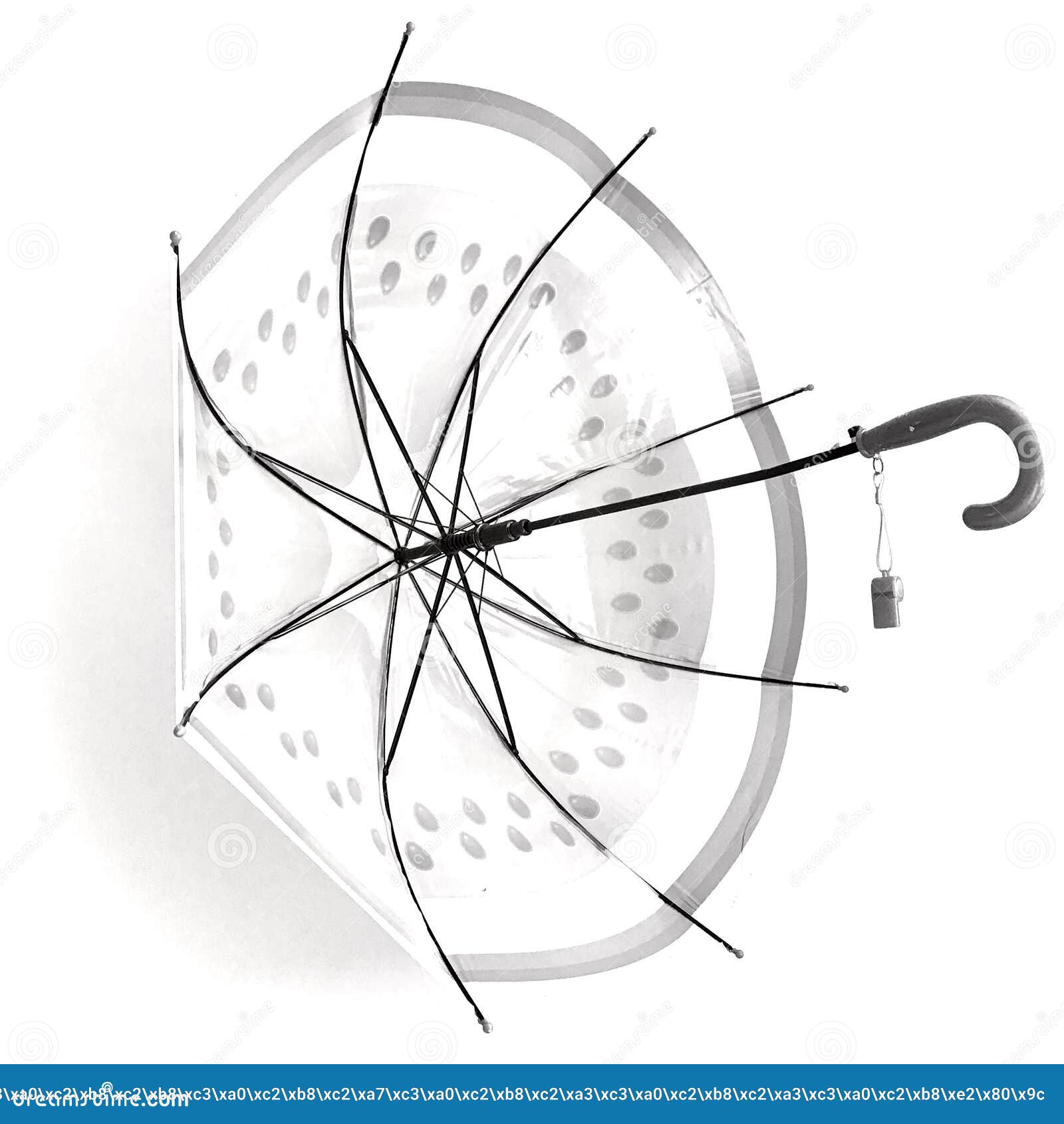Open an Umbrella Black and White 库存图片 图片 包括有 空白, 开放 165361559