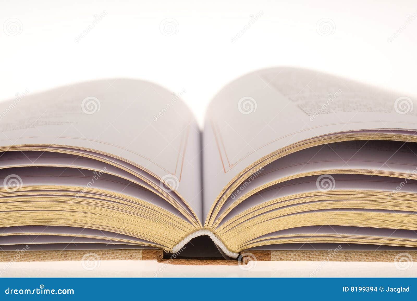 Opened Book with Golden Leaves Stock Photo Image of opened, gold 8199394