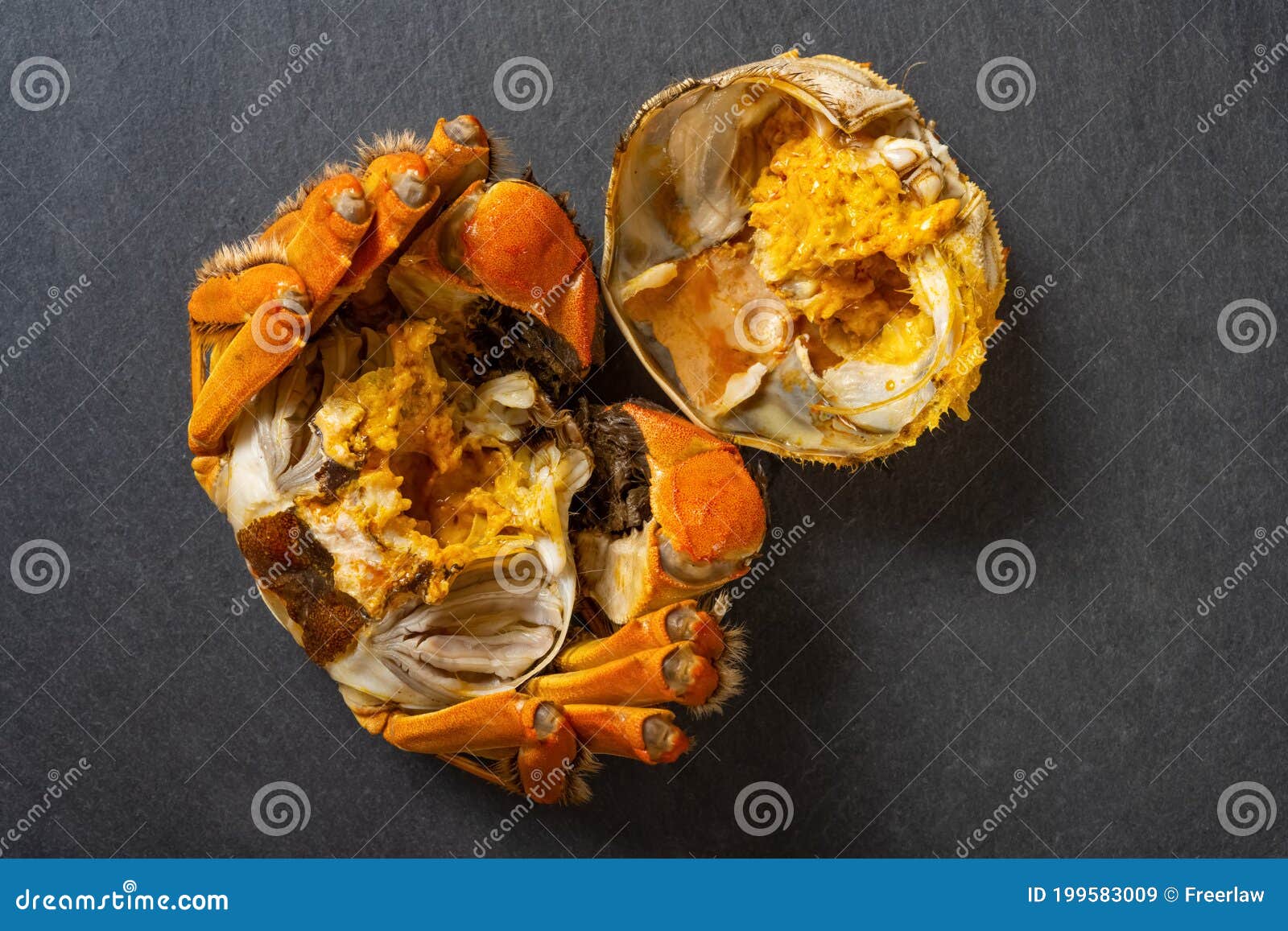 An Opened Crab Showing the Crab Roe and Meat on a Dark Background Stock
