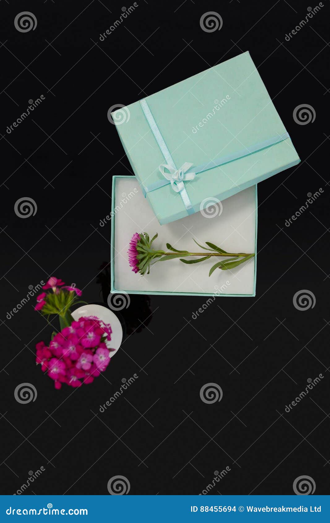 Opened Gift Box with Flower and Vase Stock Photo Image of vase