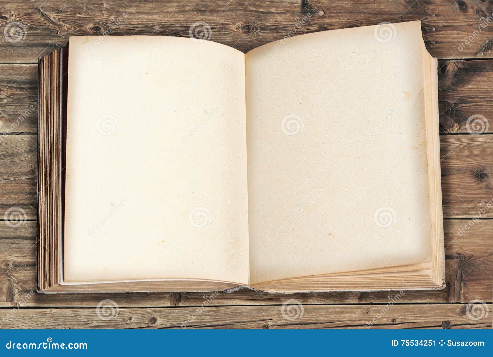 Opened Old Book With Empty Pages Stock Image - Image Of Library, Retro:  75534251