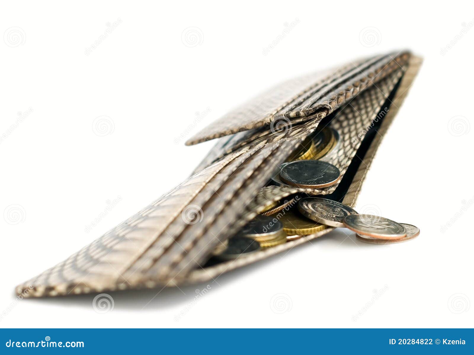 Opened wallet with coins stock photo. Image of business 20284822