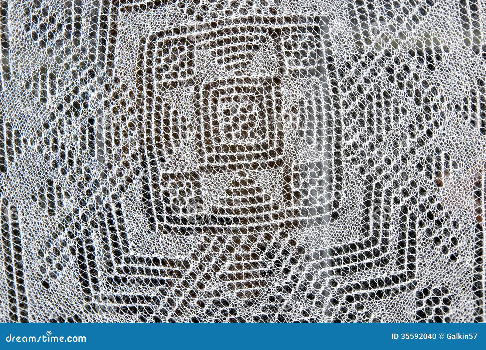 Disco Prova Mastite Kerbl - Test Per Latte Di Mucca, Confezione 1513 - Foto 9