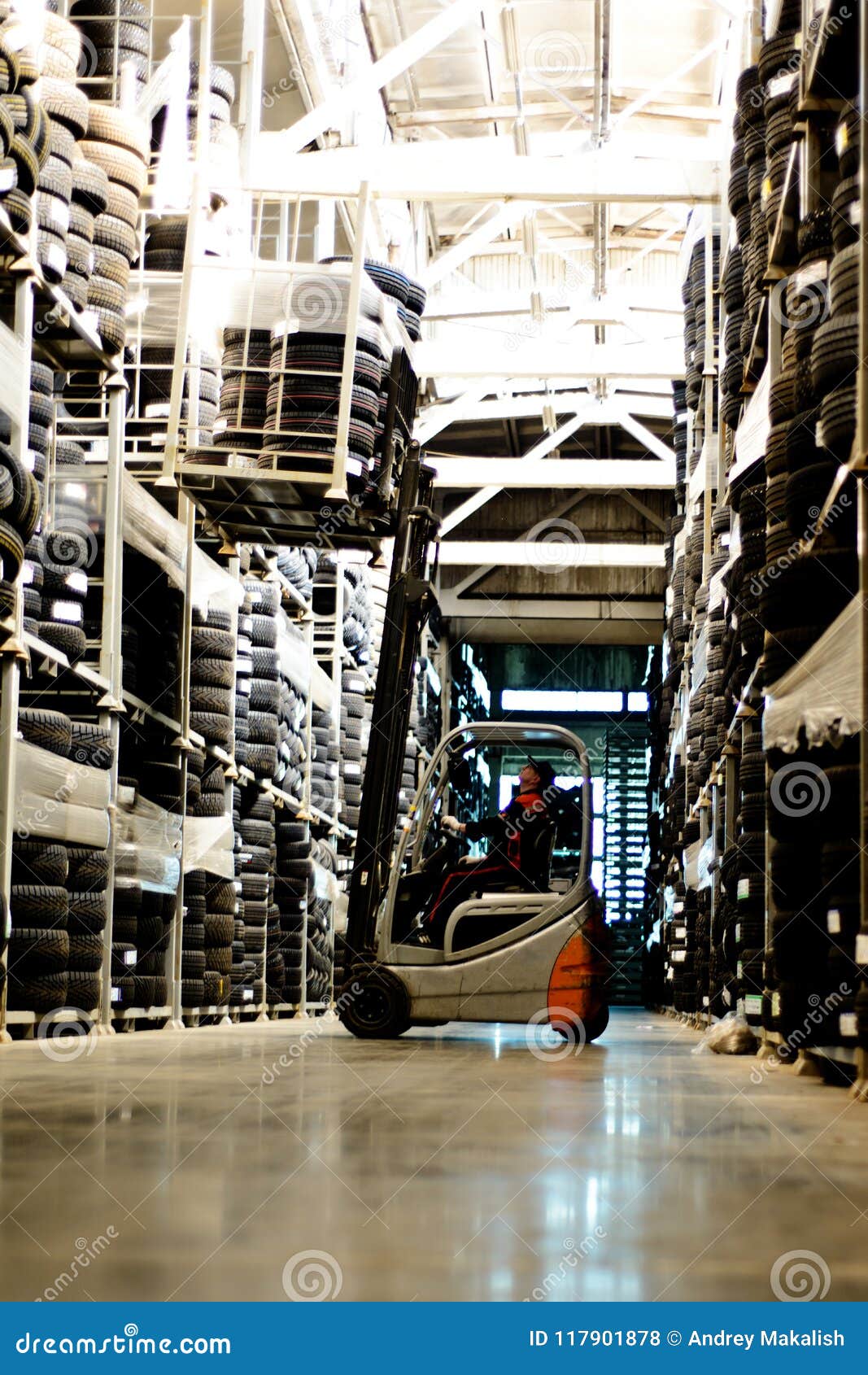 The Operator of the Electric Forklift in the Warehouse, Lifting
