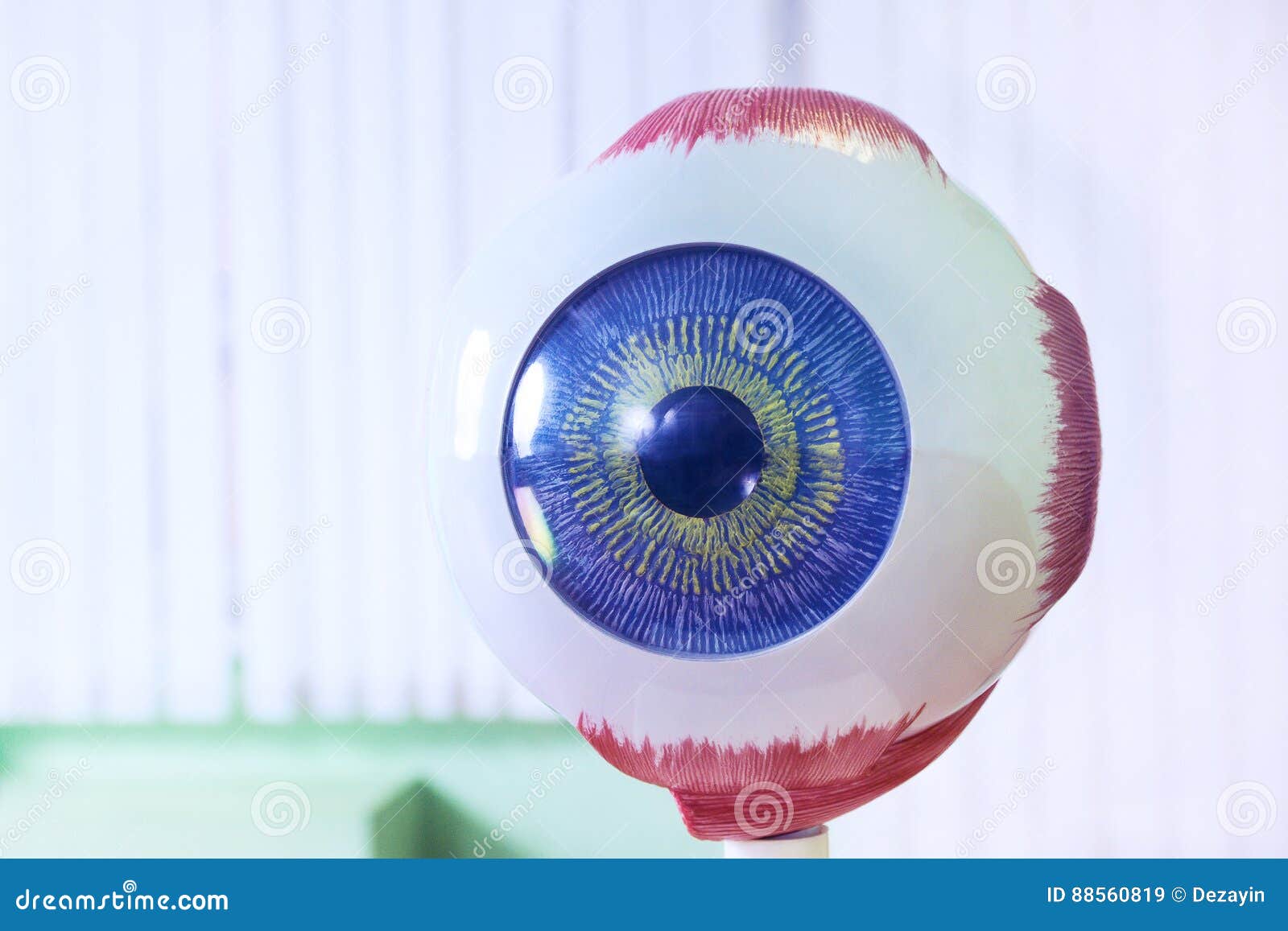 ophthalmology oculus sample closeup