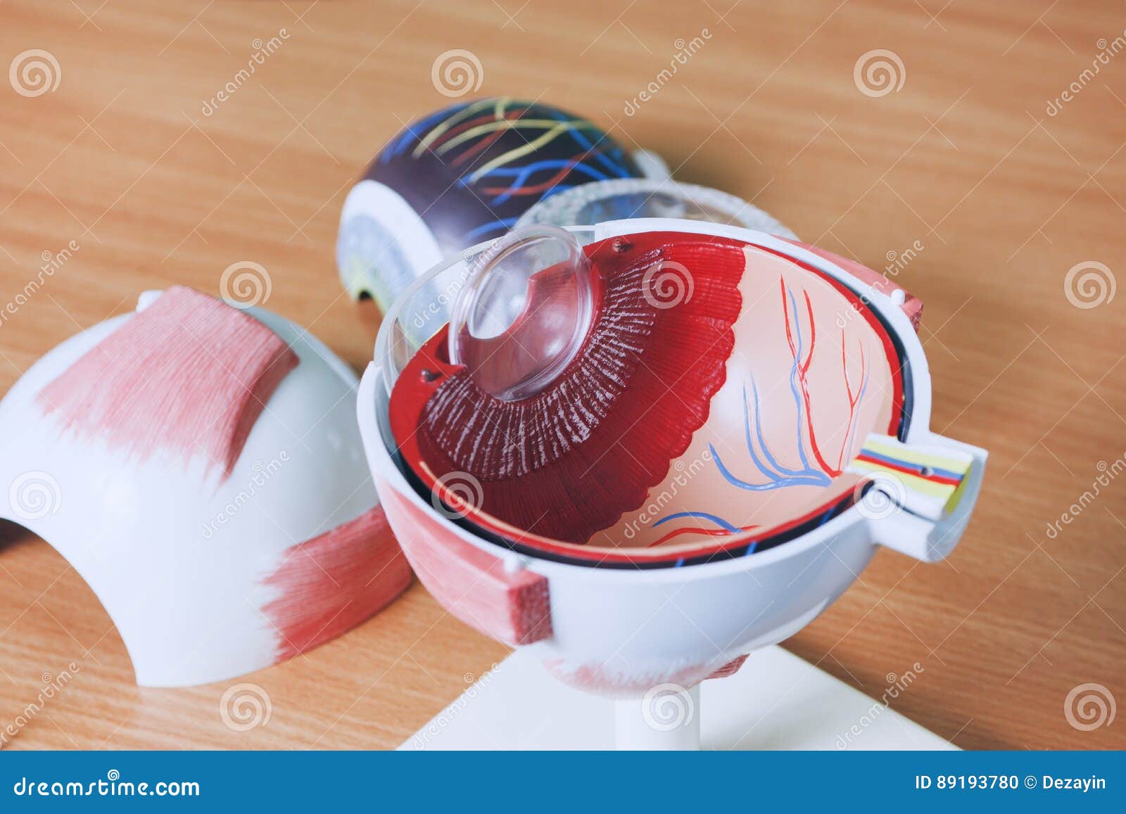 ophthalmology oculus sample closeup