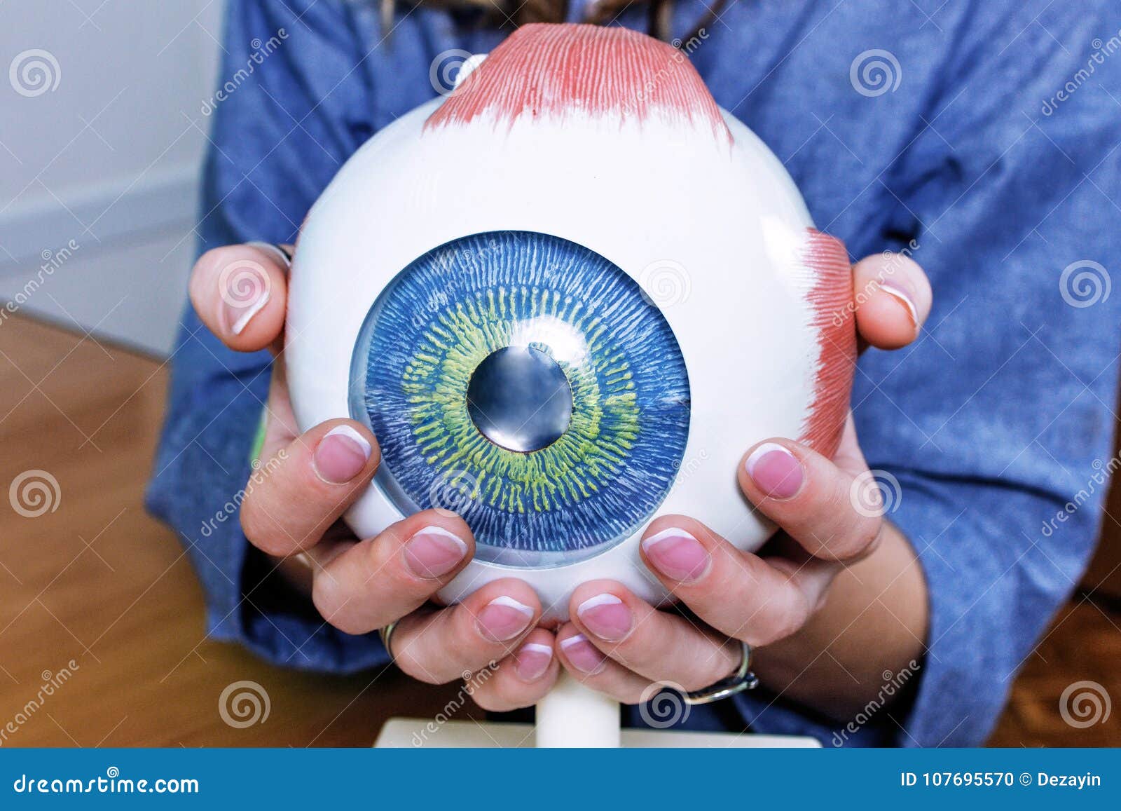 samarbejde byrde Dinkarville Ophthalmology Oculus Sample Closeup Stock Photo - Image of ophthalmologist,  lens: 107695570
