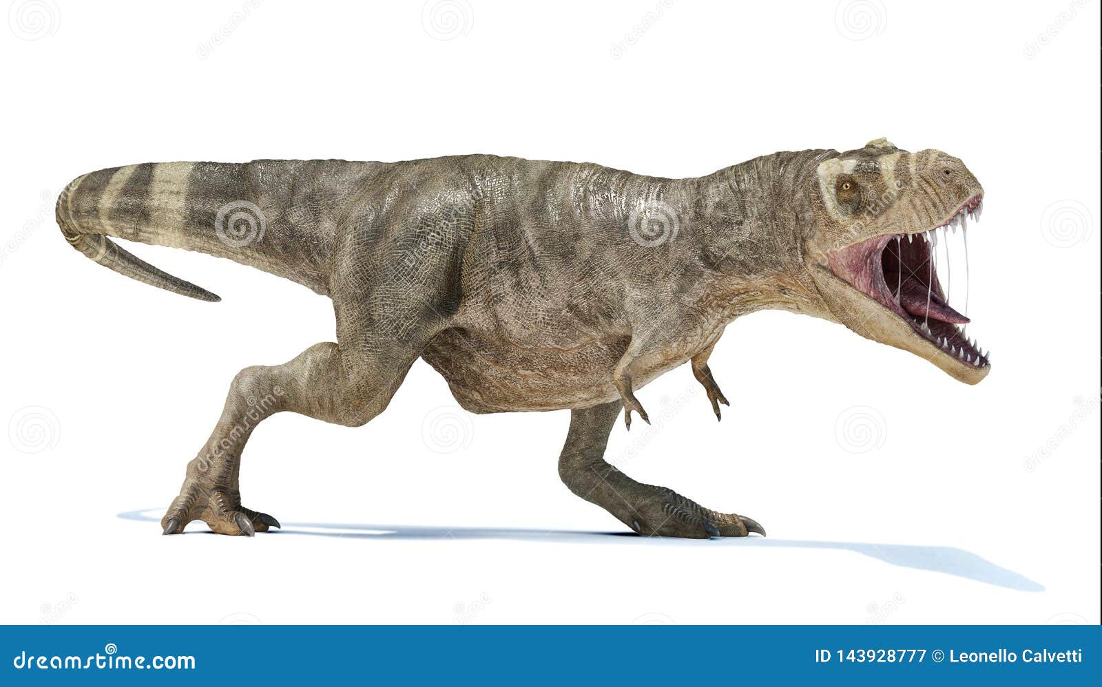 Tiranossauro Rex Dinossauro T-Rex - Gráfico vetorial grátis no