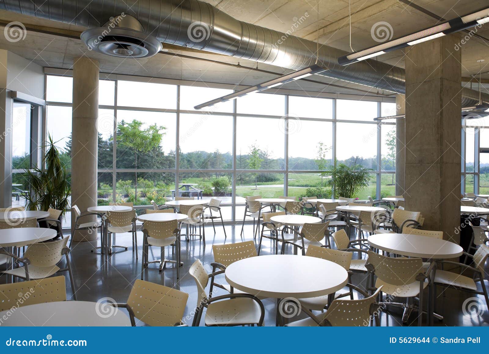 Opinión De La Cafetería De La Oficina En El Edificio Moderno. Foto de  archivo - Imagen de oficina, social: 5629644