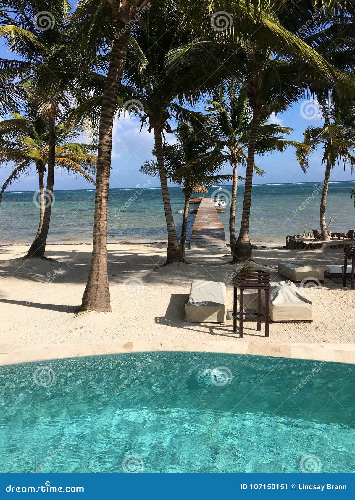 Opinion Imponente Del Centro Turistico Sobre El Ambar Gris Caye Belice Imagen De Archivo Imagen De Imponente Caye 107150151