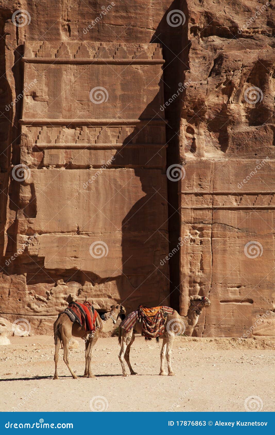 Opinião de PETRA. Dois camelos que descansam perto do edifício antigo em PETRA, Jordão