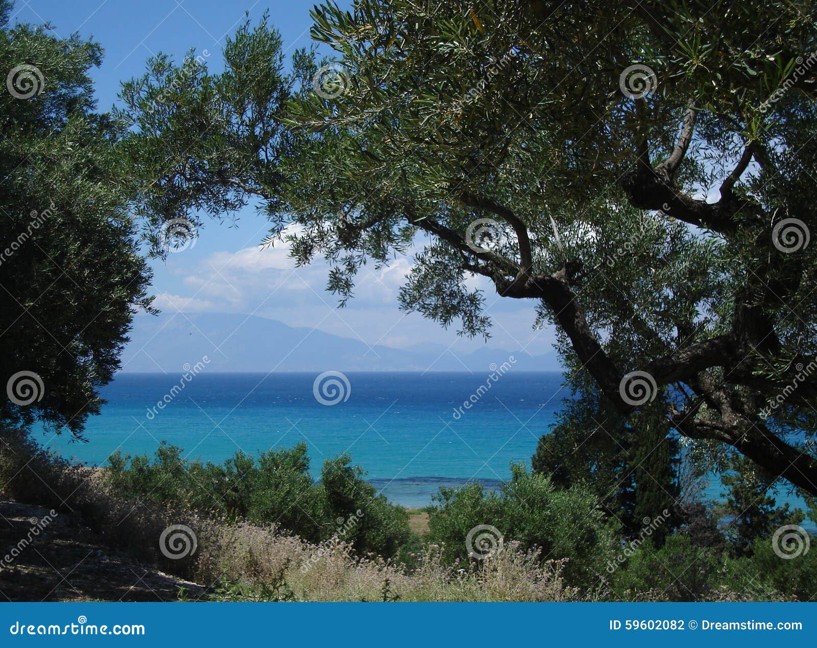 Opinião do mar em Zakynthos, Grécia. O mar teve a cor azul bonita, apenas como o céu Os olivetrees verdes fazem uma diferença agradável