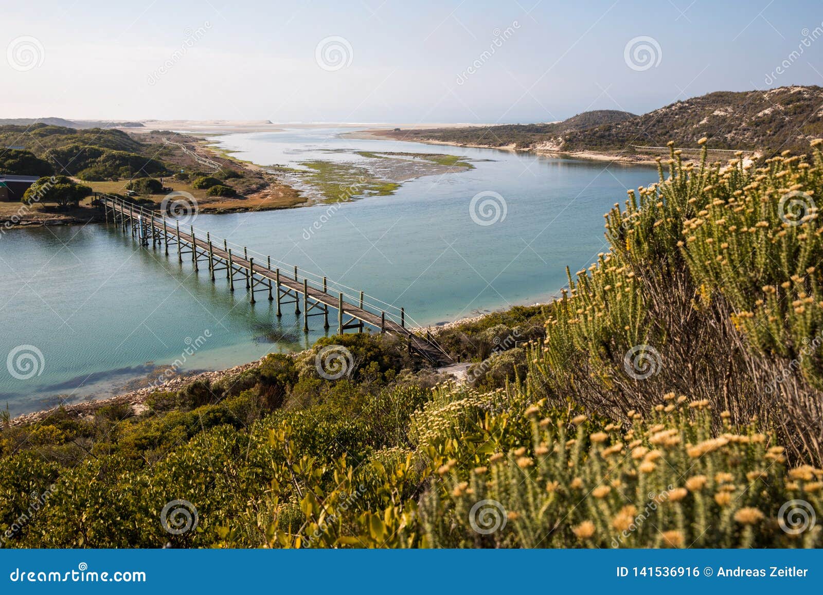 Opinião na reserva natural litoral de De Mond, África do Sul do Oceano Índico. Trajeto da natureza com ponte e rio na reserva natural litoral de De Mond, África do Sul