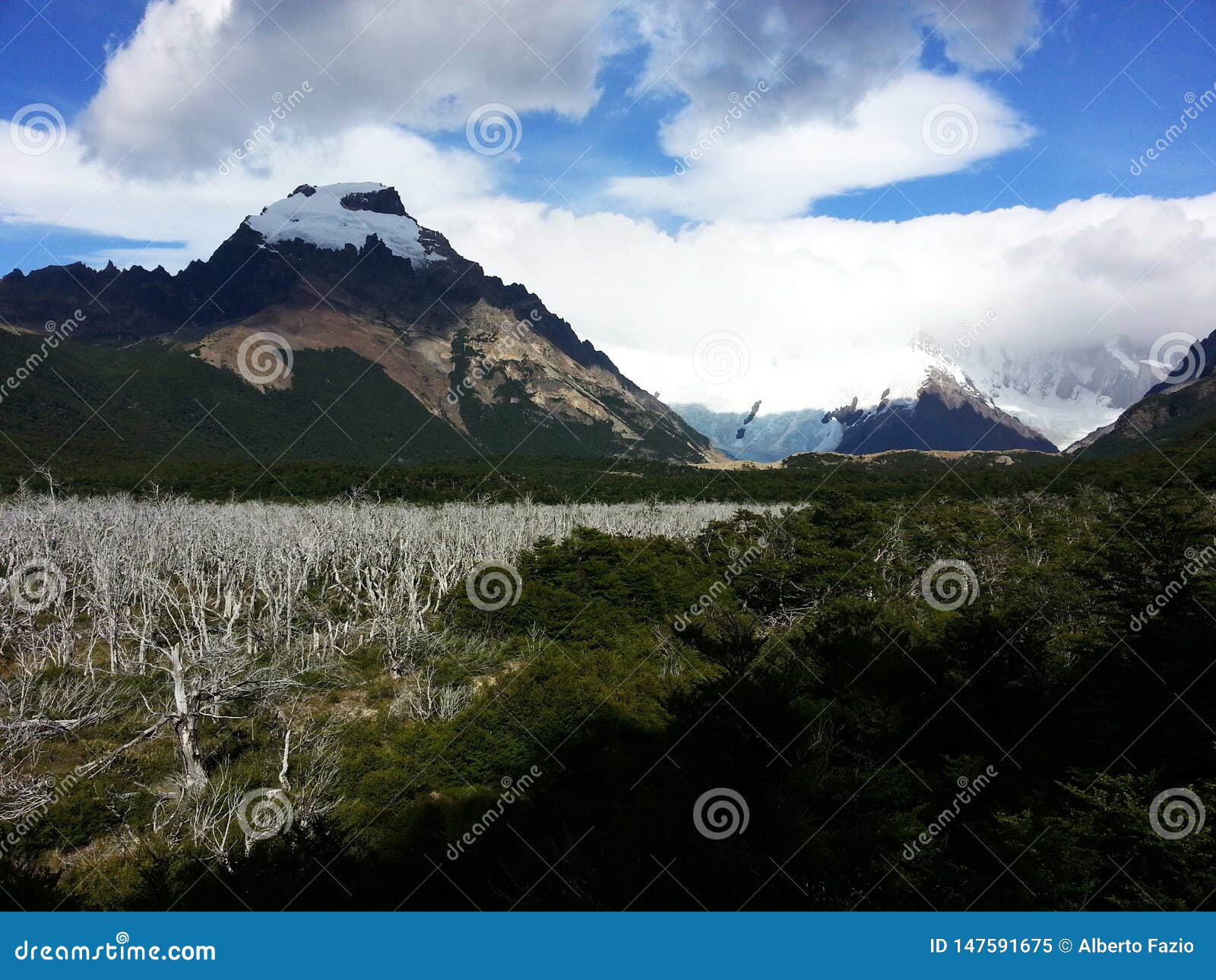 Opinión de Cerro Torre. Viaje del sur de Ameica, Patagonia, la Argentina, emigrando alrededor del EL Chalten, vista espectacular de Cerro Torre