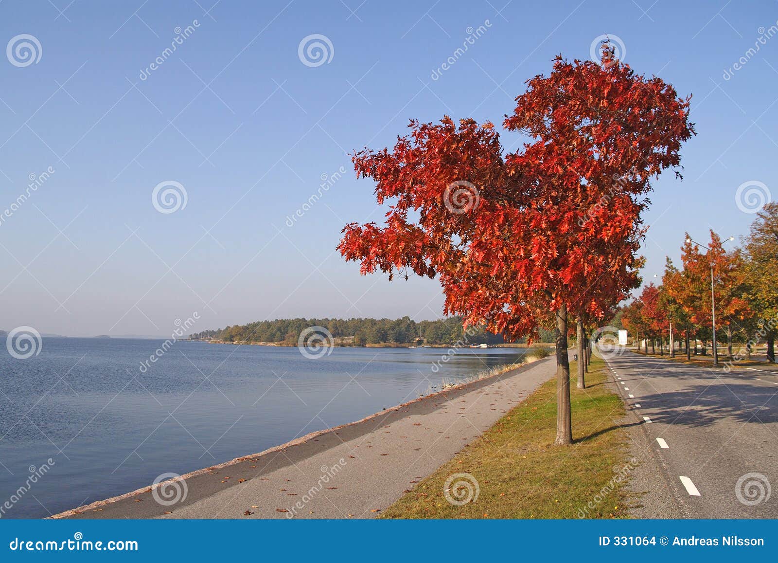 Opinión del otoño. Colores del otoño por el océano