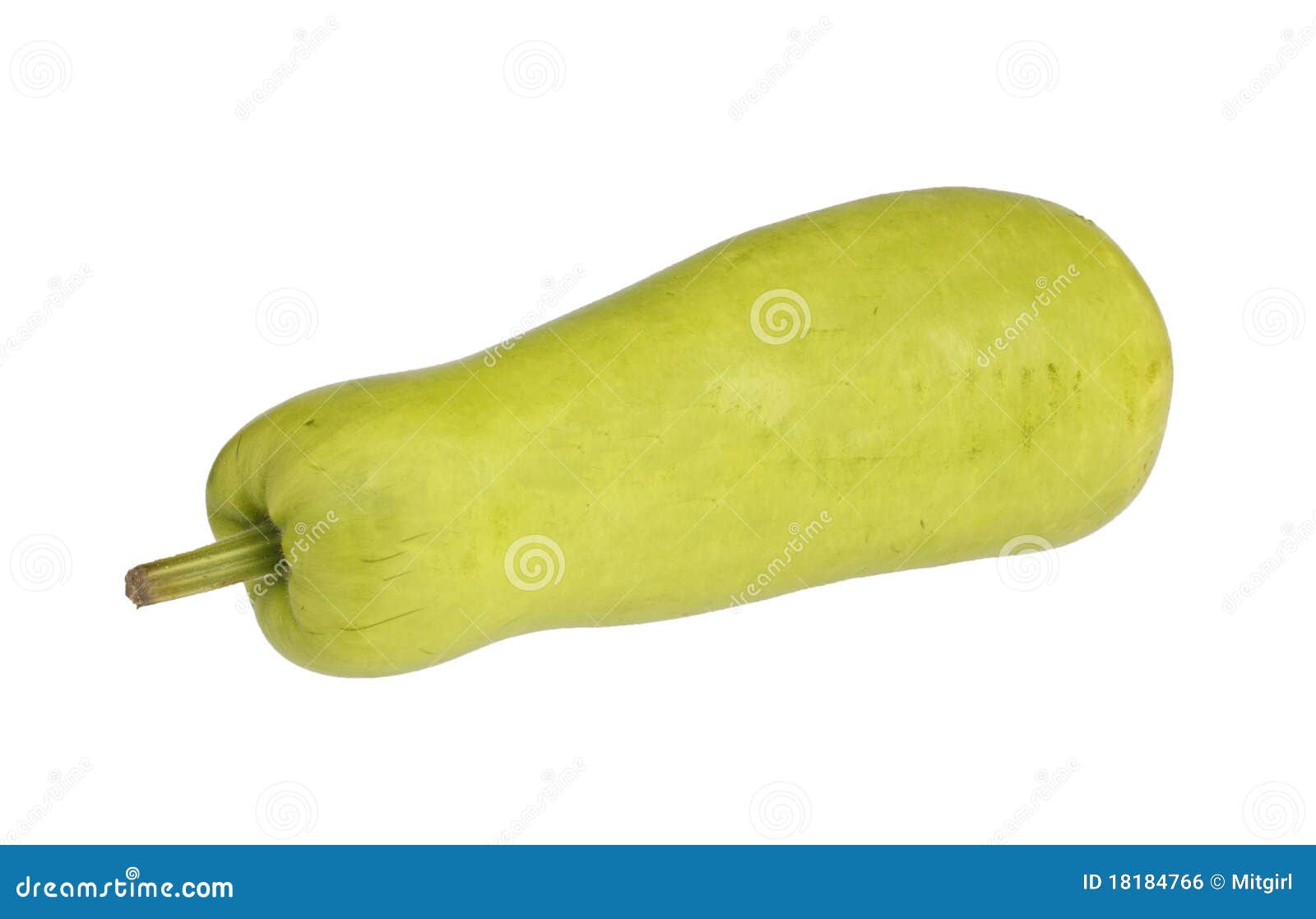 Opo Squash or Bottle Gourd Asian Vegetable Stock Photo Image of light