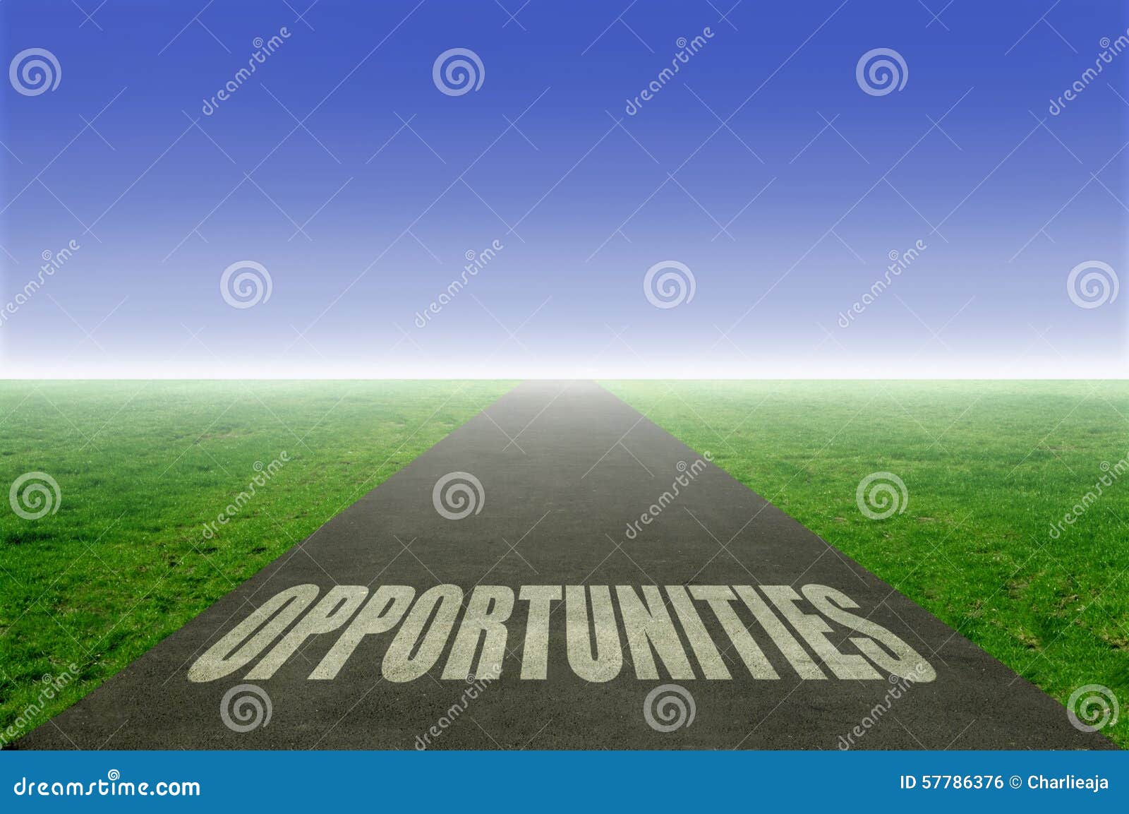 opportunities