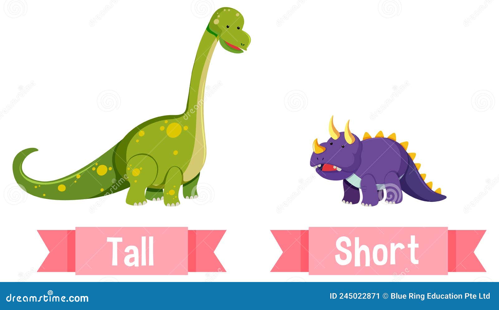 Words Tall And Short Flashcard With Cartoon Animal Characters. Opposite ...
