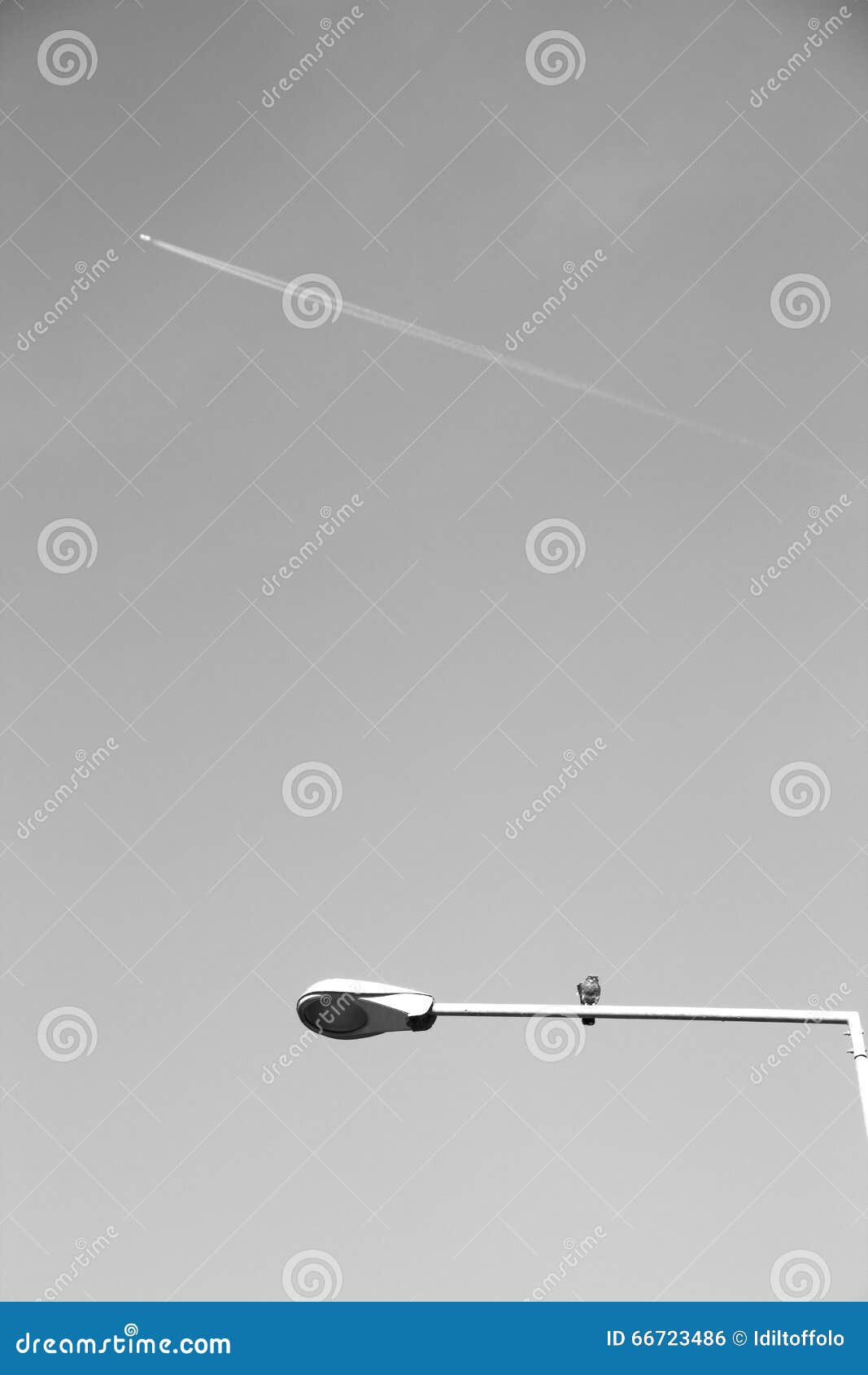 Opposite stock photo. Image of scene, black, plane, life 66723486