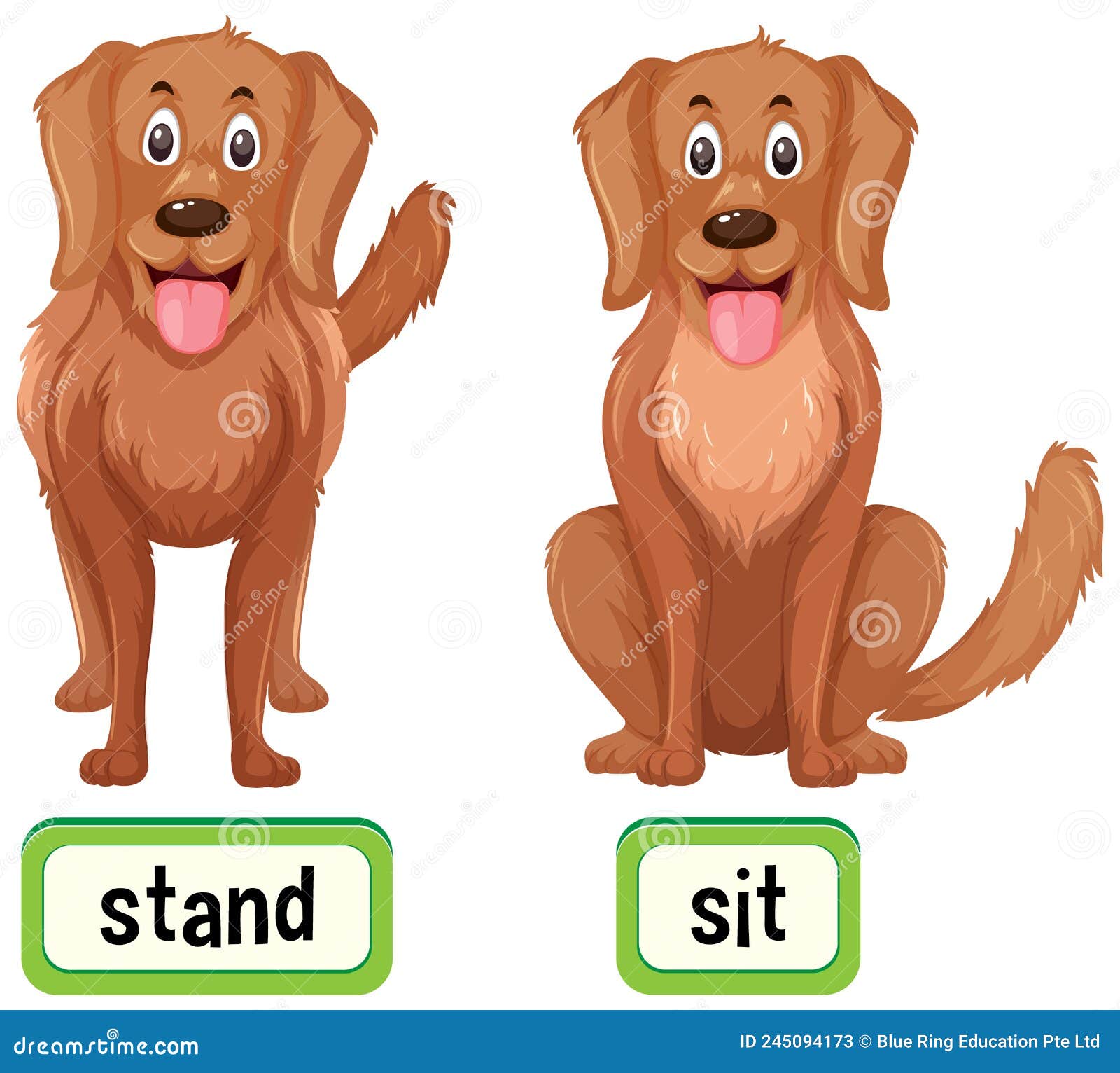 Opposite Sit And Stand Words Antonym For Children With Cartoon