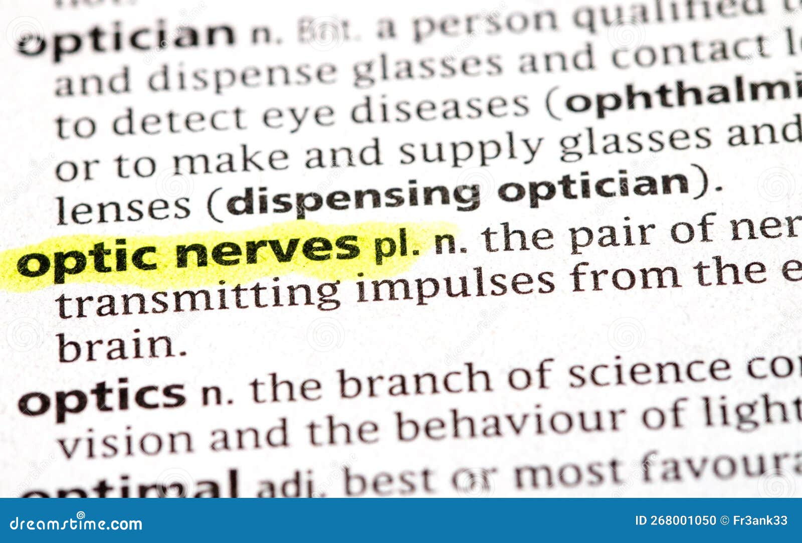 Optic nerves stock photo. Image of nerves, close, sight 268001050