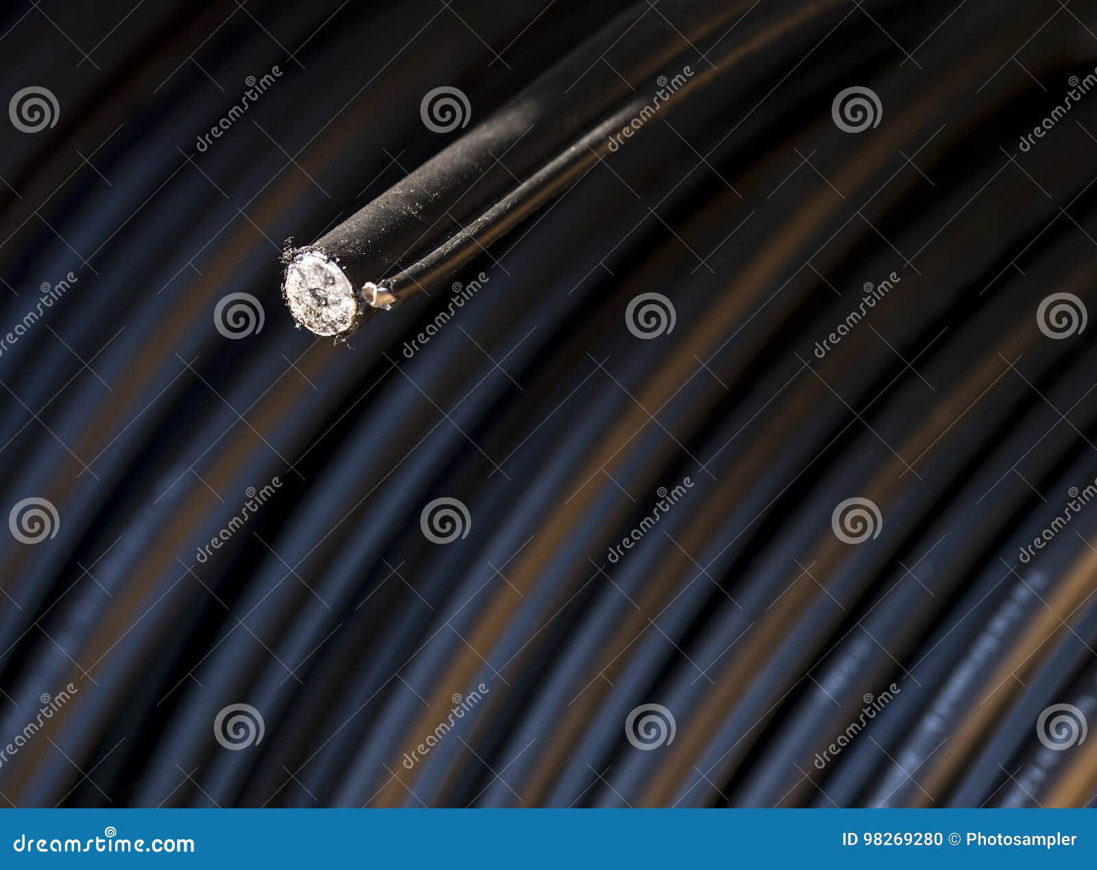 Optical Fibre Cable Cut in Half Stock Photo Image of electric