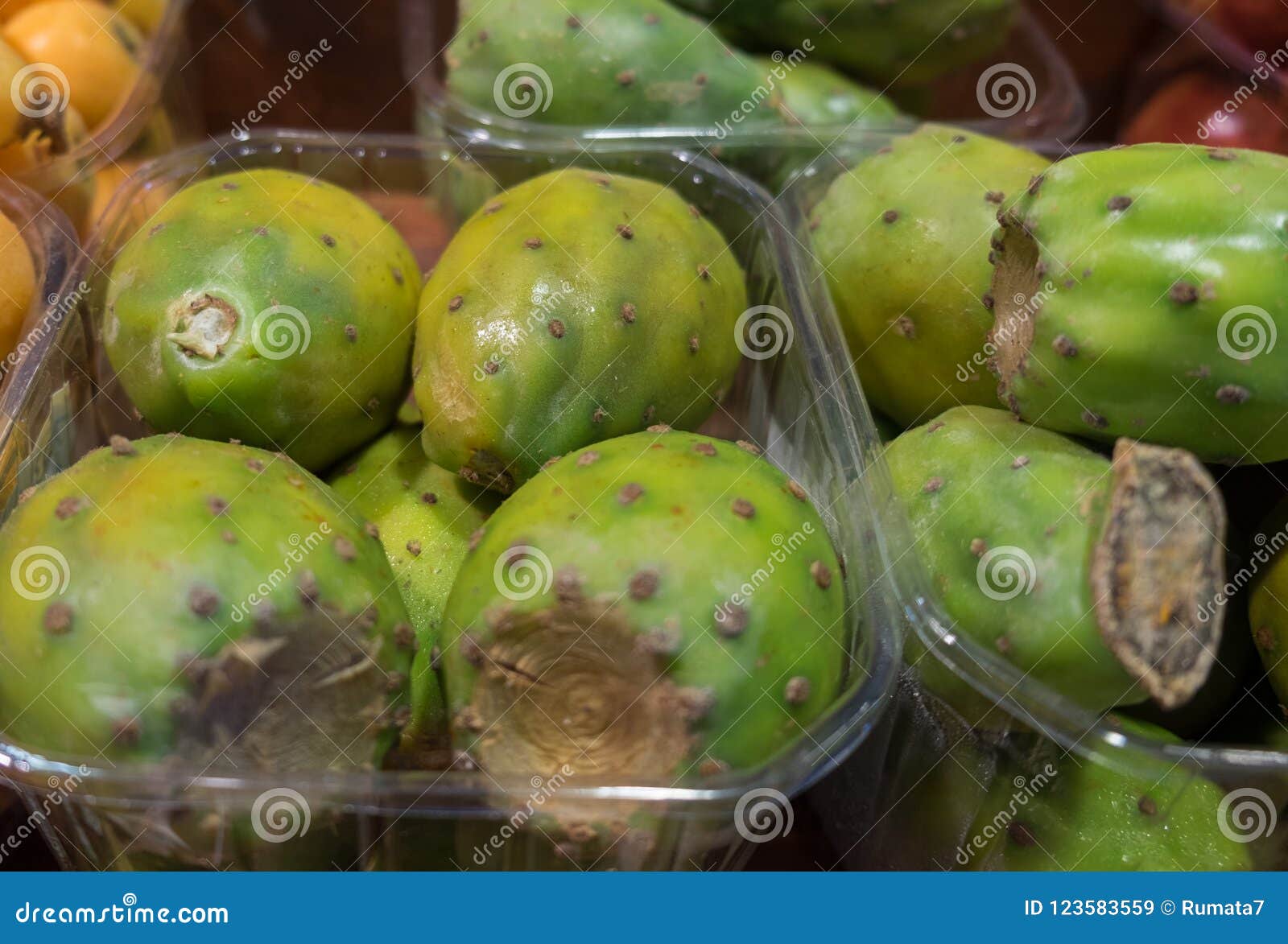 Opuntia or Cactus Fruits or Sabar or Indian Fig Opuntia, Barbary ...