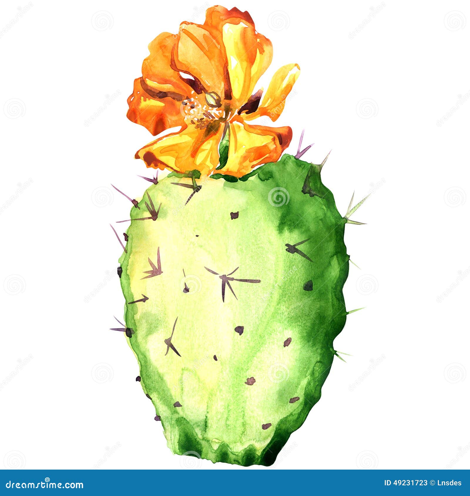 opuntia cactus with yellow flower, watercolor