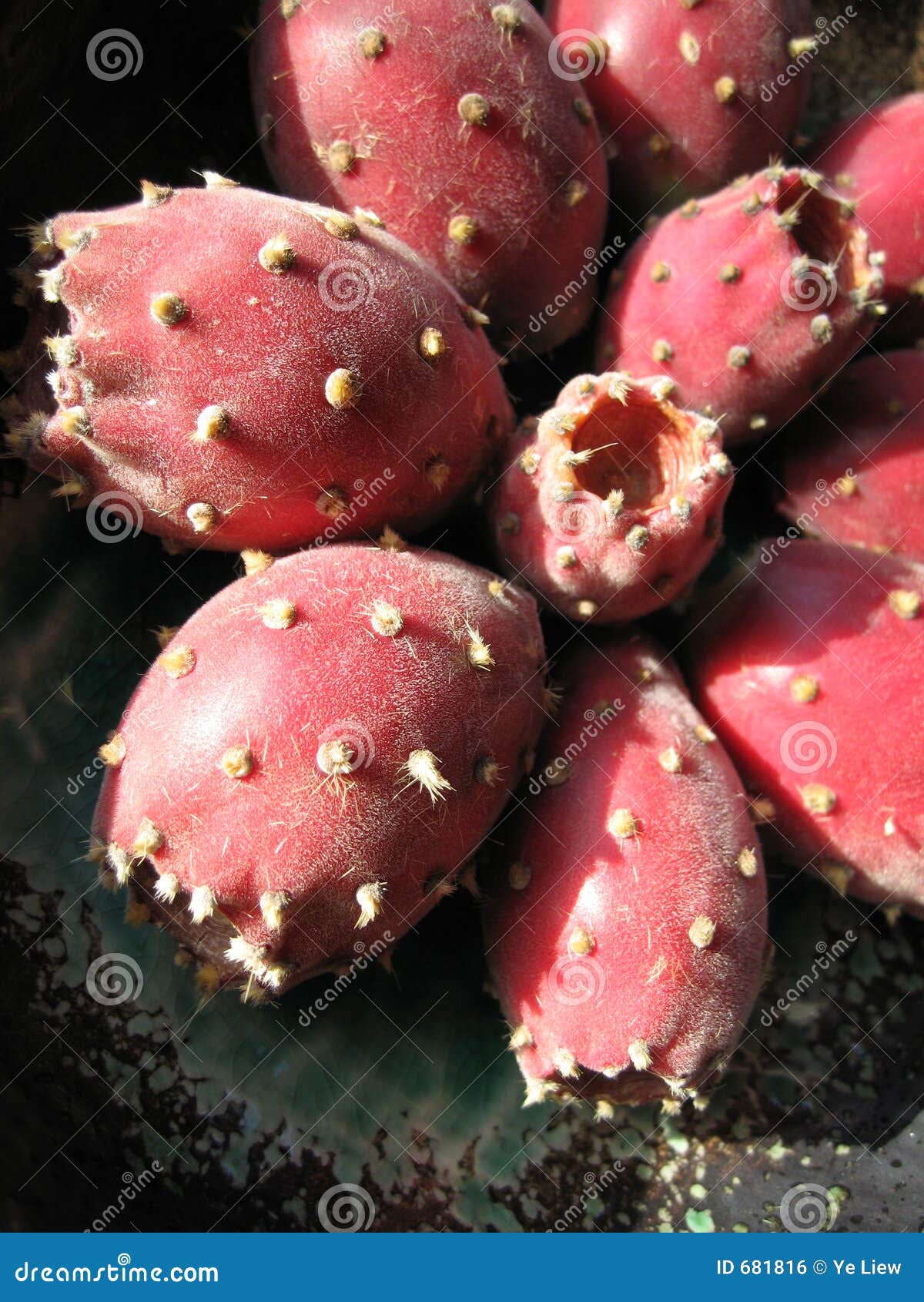 Opuntia Tuna 2 stock photo. Image of gourmet, fresh, ingredient 681816