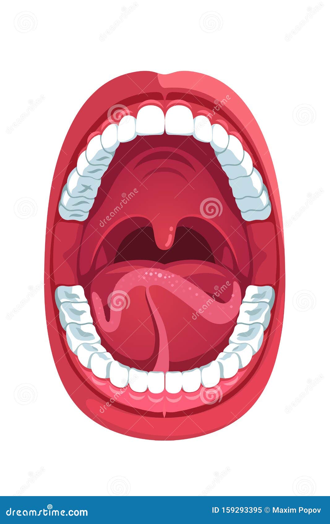 Oral Cavity Cartoon Vector | CartoonDealer.com #15645239