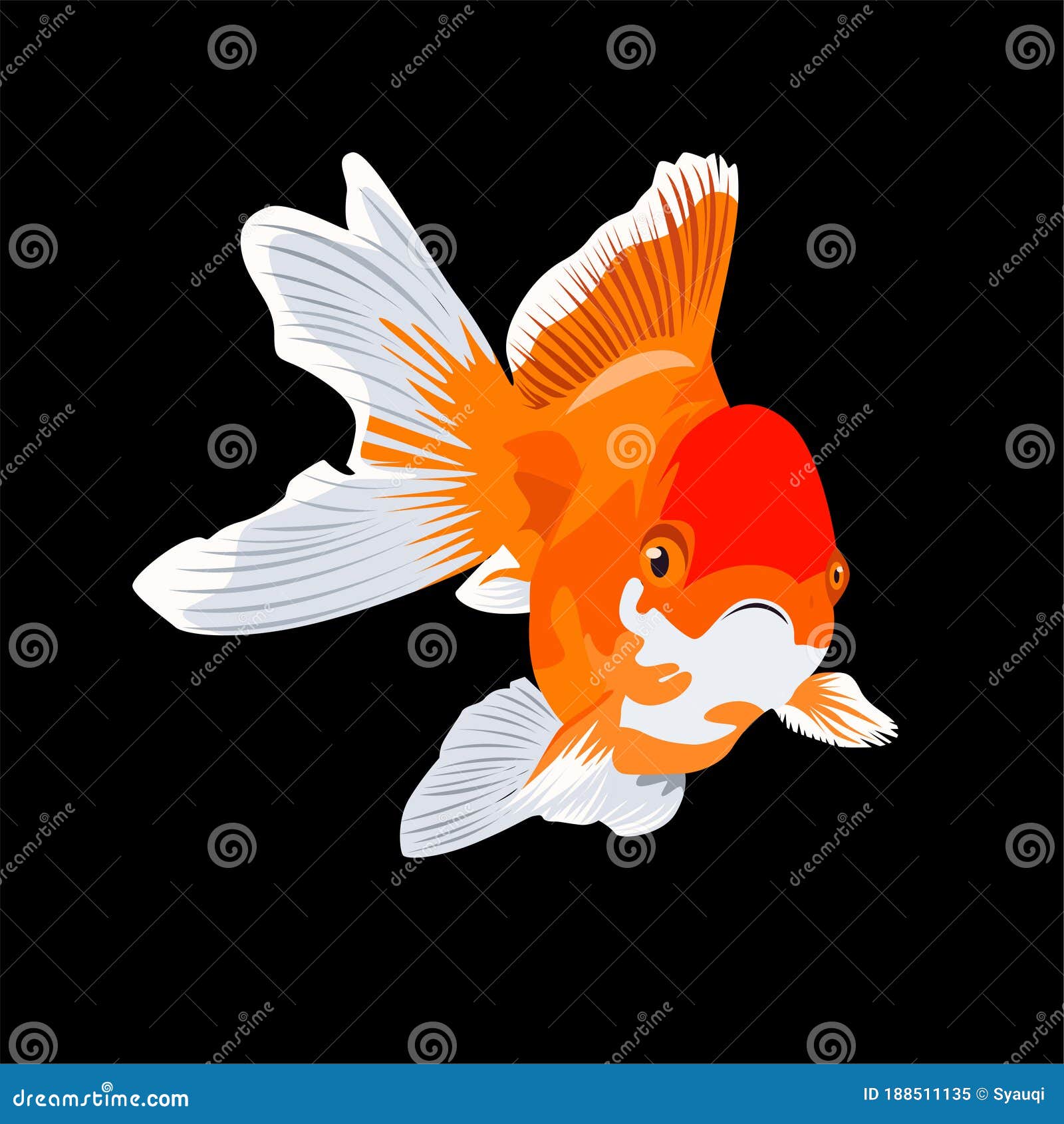 Oranda Goldfish Logo Vector Design Stock Vector Illustration Of Goldfish Graphic