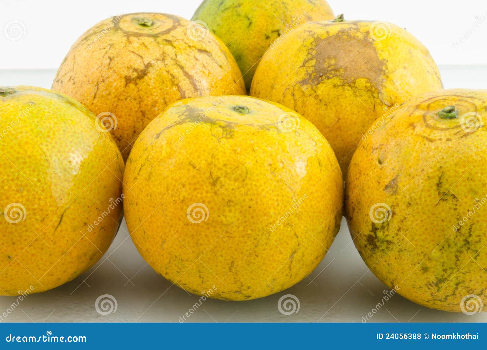 Orange stock photo. Image of tasty, sour, fresh, citrus 24056388