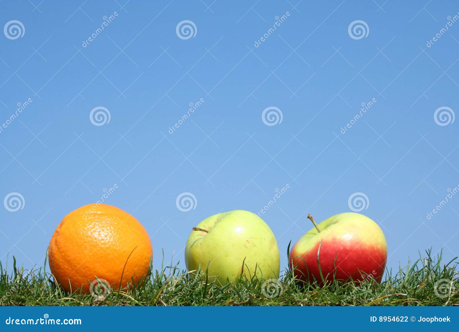 Orange and apples stock photo. Image of green, bluesky 8954622